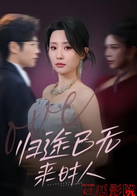 归途已无来时人